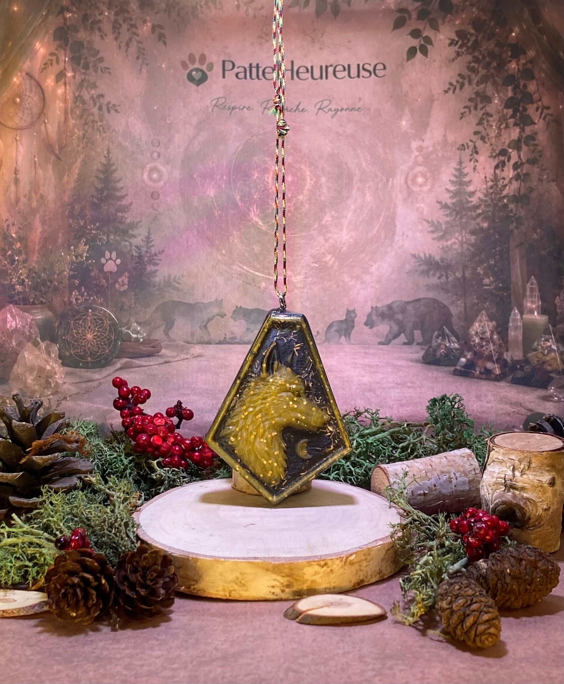 photo d'un orgonite pendu par sa corde devant un fond de nature patteheureuse avec mousse et cocotte de pin qui l'entoure 