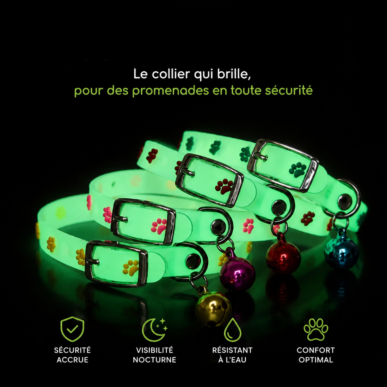 le collier qui brille pour des promenades en toute sécuriter
