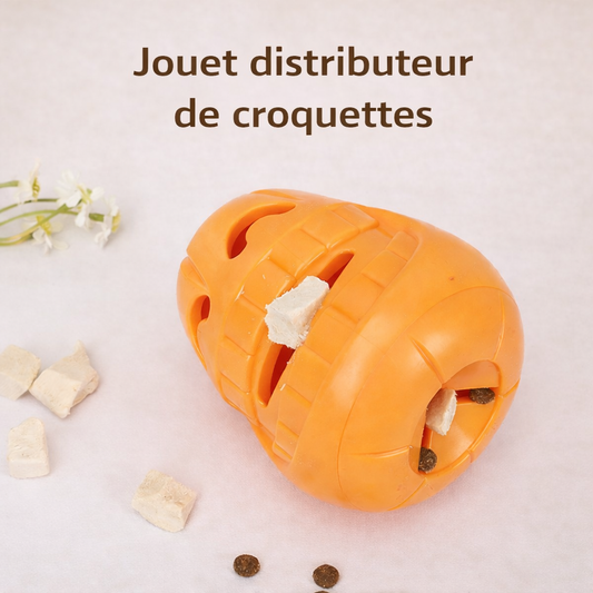 Jouet à mâcher pour chien