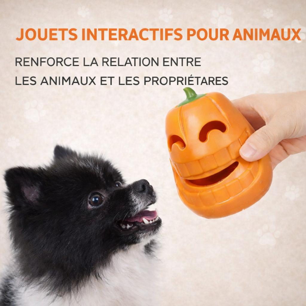 Jouet à mâcher pour chien