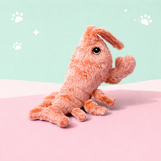 Homard interactif pour Chat – Rechargeable USB