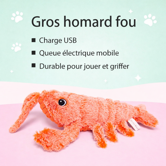 Homard interactif pour Chat – Rechargeable USB