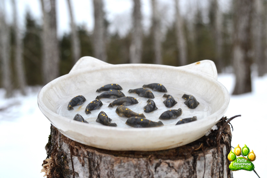 Gamelle Anti-Glouton Pour Chat – Bol Lent en Résine Époxy Alimentaire (Fait Main)