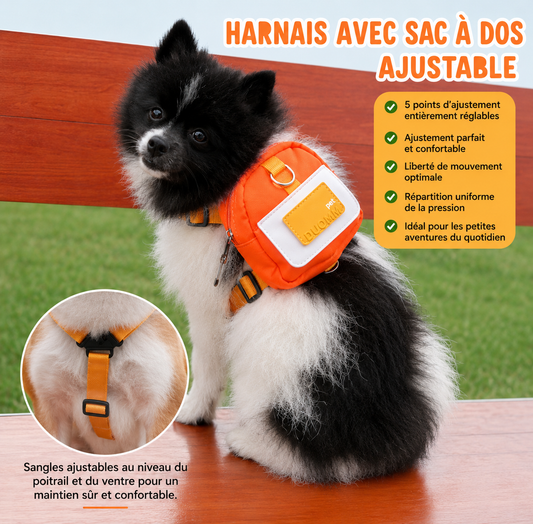 Ajustement des sangles du sac a dos orange et creme avec pomeranien blanc et noir 